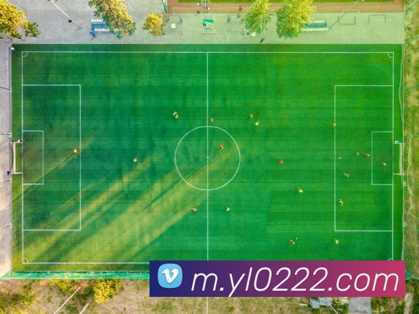 银河galaxy官网登录平台生态图